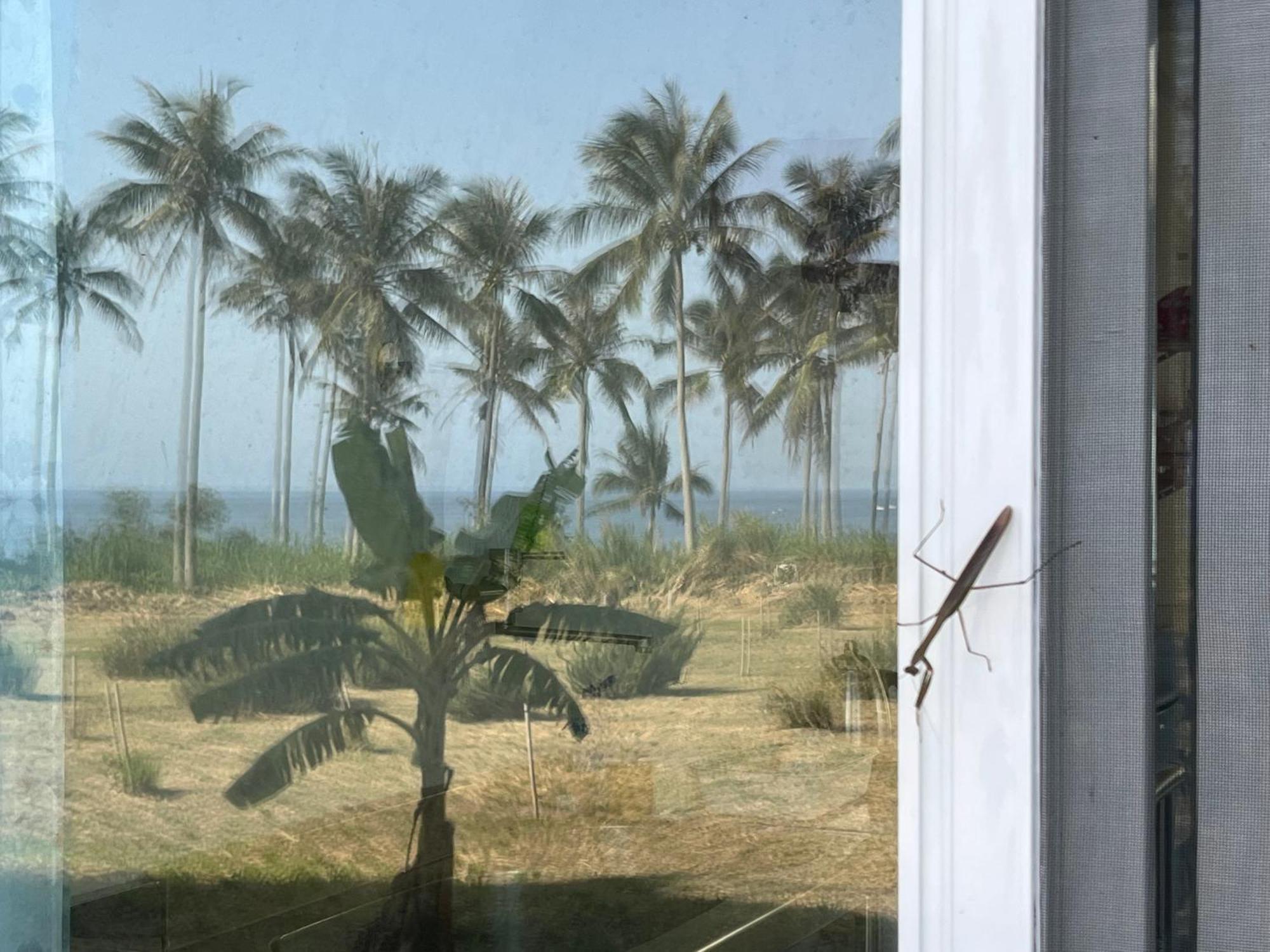 צ'נגונג 春夏秋冬海景民宿ocean View Motel מראה חיצוני תמונה